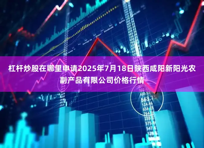 杠杆炒股在哪里申请2025年7月18日陕西咸阳新阳光农副产品有限公司价格行情