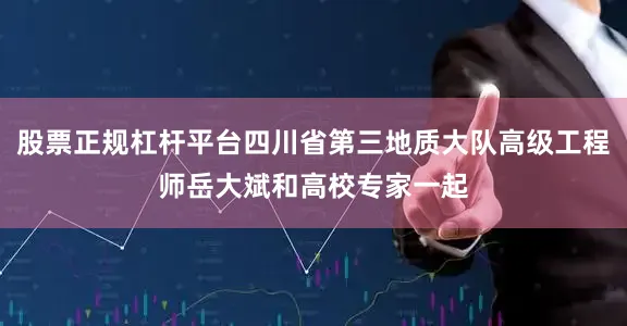 股票正规杠杆平台四川省第三地质大队高级工程师岳大斌和高校专家一起