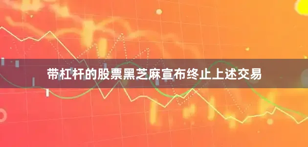 带杠杆的股票黑芝麻宣布终止上述交易