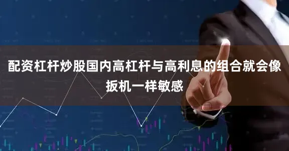 配资杠杆炒股国内高杠杆与高利息的组合就会像扳机一样敏感