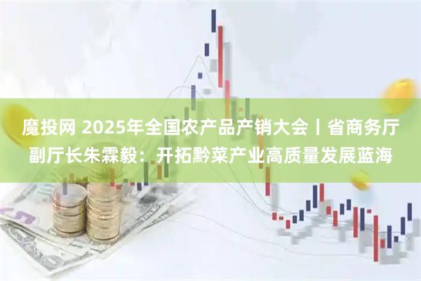 魔投网 2025年全国农产品产销大会丨省商务厅副厅长朱霖毅：开拓黔菜产业高质量发展蓝海