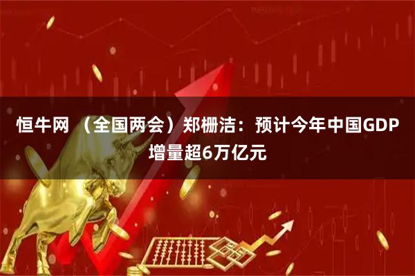 恒牛网 （全国两会）郑栅洁：预计今年中国GDP增量超6万亿元