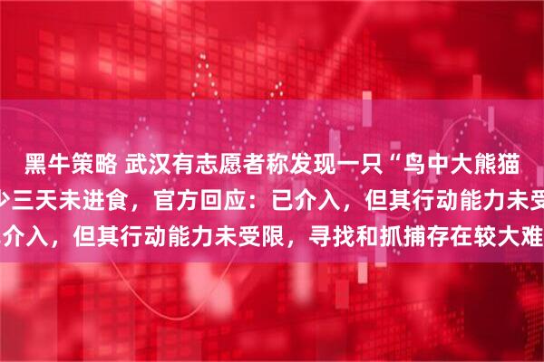 黑牛策略 武汉有志愿者称发现一只“鸟中大熊猫”黑鹳被异物套嘴，至少三天未进食，官方回应：已介入，但其行动能力未受限，寻找和抓捕存在较大难度
