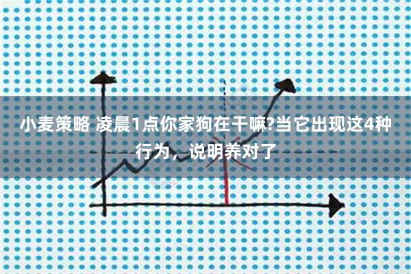 小麦策略 凌晨1点你家狗在干嘛?当它出现这4种行为，说明养对了