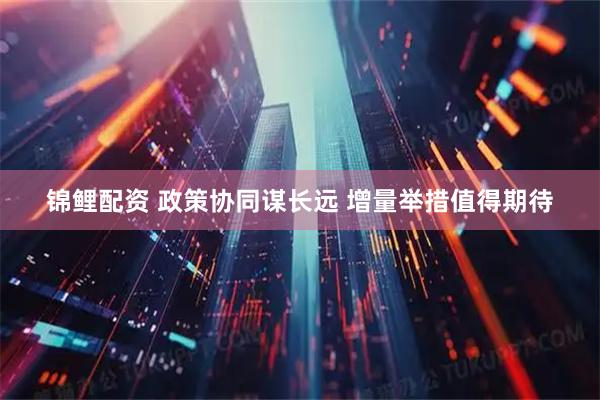 锦鲤配资 政策协同谋长远 增量举措值得期待